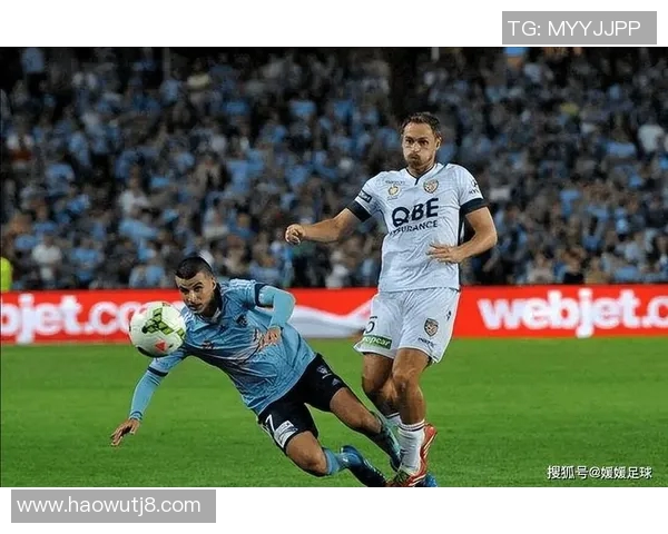 足球明星瓦来利的职业生涯与成就揭秘