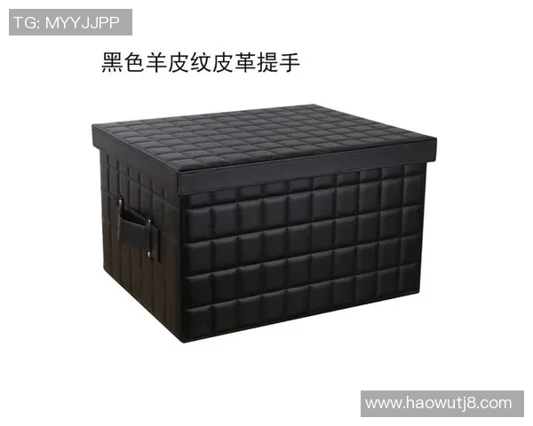 收纳箱篮球明星的完美组合助你轻松整理运动装备与生活空间 收纳箱篮球明星的完美组合助你轻松整理运动装备与生活空间